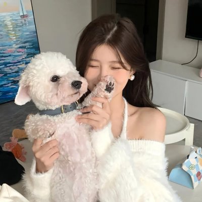 保姆大冒险